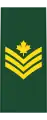 Sergeant(French: Sergent)(Canadian Army)