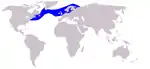 Atlantic white-sided dolphin range