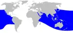 Ginkgo-toothed beaked whale range