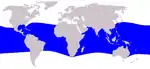 Melon-headed whale range