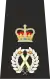 Isle of Man Police Chief Constable Epaulette