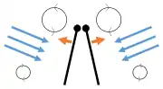 Clap 2: leading edges touch, wing rotates around leading edge, vortices form