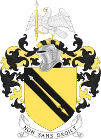 Family arms, granted in 1596