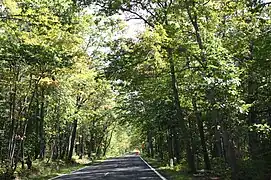 Covered trail section of US&nbsp;41 south of Copper Harbor, part of the Copper Country Trail