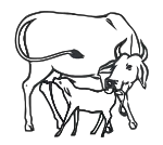  Approved symbol of Indira Gandhi Congress