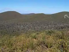 A heath landscape in the Stirling mountains of Western Australia, with a "dieback"-infested valley in the mid-ground