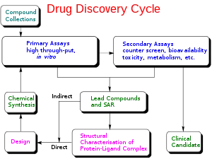 Drug discovery cycle schematic