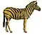Equus quagga