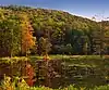 A wooded mountain with bright fall leaves is reflected in a small lake with many plants sticking out of the surface