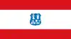 Flag of Asunción