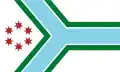 Flag of Cook County