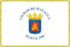 Flag of Managua