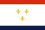 Flag of New Orleans, Louisiana
