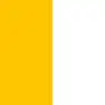 Flag of Papal States