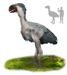 Gastornis gigantea (previously known as "Diatryma") was the largest bird to ever inhabit North America, weighing up to 225 kg (496 lb).