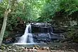 A waterfall along a rushing stream surrounded by forests.