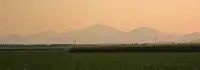 Grassland in Queensland with mountains in background.