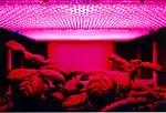 LED panel light source used in an early experiment on potato growth during Shuttle mission STS-73 to investigate the potential for growing food on future long duration missions.