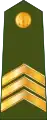 Seržants(Latvian Land Forces)