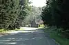 A road through a forest leads to a fieldstone building with a chmney and steep roof next to a stop sign
