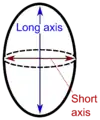 Spheroid or near-spheroid organs such as testes may be measured by "long" and "short" axis.