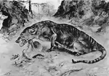 An illustration of a mesonychid, which looks like a wolf-like animal