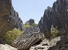 Karst topography at Tsingy de Namoroka National Park in northwestern Madagascar