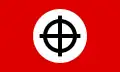 Neo-nazi Celtic cross flag