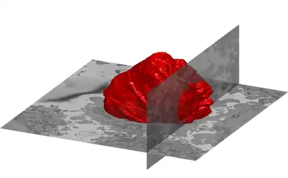 A volumetric surface render (red) of the nuclear envelope of one HeLa cell. The cell was observed in 300 slices of electron microscopy, the nuclear envelope was automatically segmented and rendered. One vertical and one horizontal slice are added for reference.