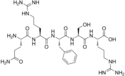 Chemical structure of Opiorphin.