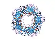 1lj7: Crystal structure of calcium-depleted human C-reactive protein from perfectly twinned data