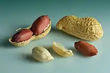 Peanuts in shell, shell cracked open, shelled, peeled