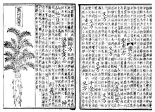 Two pages of a book printed on pieces of paper. On the left, half of the page is occupied by a line drawing of a plant. On the other half, as well as the whole of the right page, is vertically aligned text.