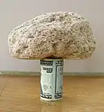A 15-centimeter (5.9&nbsp;in) piece of pumice supported by a rolled-up U.S. 20-dollar bill demonstrates its very low density.