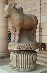 Rampurva zebu bull original (now in Rashtrapati Bhavan, New Delhi).