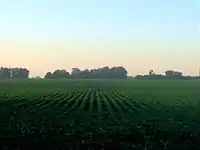 Fields in Argentina