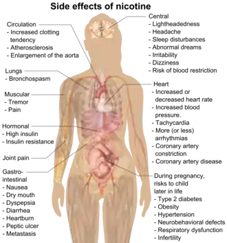 Possible side effects of nicotine include increased clotting tendency, atherosclerosis, enlargement of the aorta, bronchospasm, muscular tremor and pain, gastrointestinal nausea, dry mouth, dyspepsia, diarrhea, heartburn, peptic ulcer, cancer, lightheadedness, headache, sleep disturbances, abnormal dreams, irritability, dizziness, blood restriction, increased or decreased heart rate, increased blood pressure, tachycardia, more (or less) arrhythmias, coronary artery constriction, coronary artery disease, high insulin, insulin resistance, and risks to the child later in life during pregnancy include type 2 diabetes, obesity, hypertension, neurobehavioral defects, respiratory dysfunction, and infertility.
