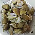Dog conchs served in a seafood restaurant near Johor Bahru, Malaysia