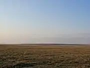 Steppe in Kazakhstan