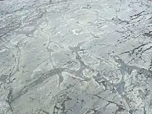 Weathered Precambrian pillow lava in the Temagami Greenstone Belt