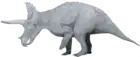 Triceratops horridus