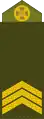 СержантSerzhant(Ukrainian Ground Forces)