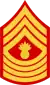 Master Gunnery Sergeant