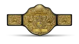 A professional wrestling championship belt with a roughly circular golden front plate