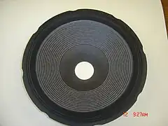 An acoustic diaphragm.
